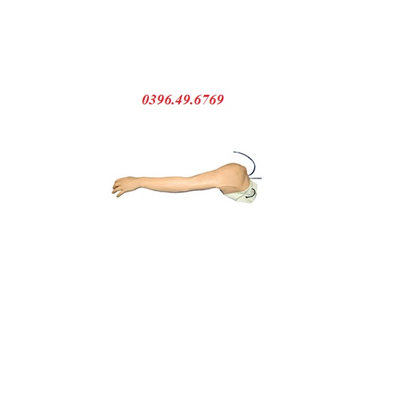 MÔ HÌNH TIÊM TĨNH MẠCH CÁNH TAY ĐẦY ĐỦ CHỨC NĂNG GD/HS39