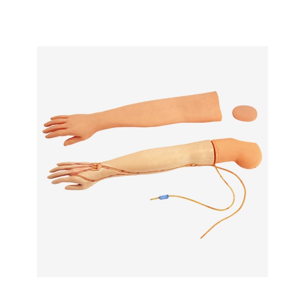 MÔ HÌNH TIÊM TRUYỀN CÁNH TAY ĐA NĂNG GD/HS2