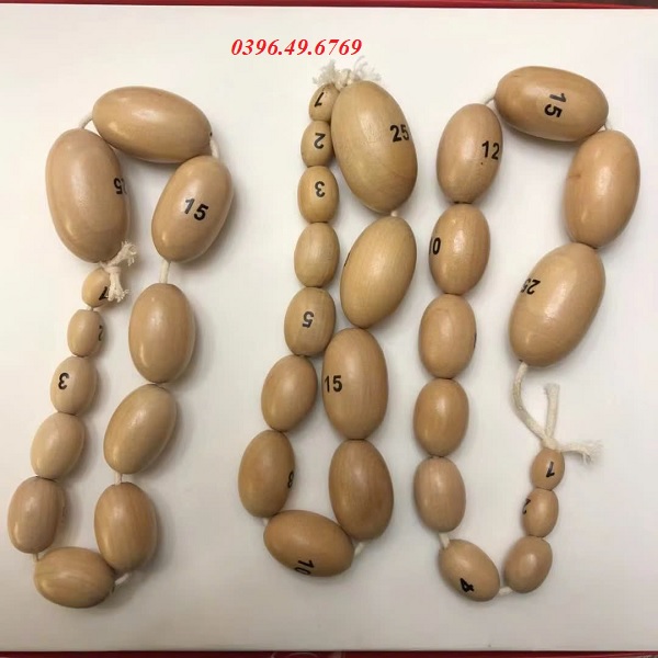 Mô hình tinh hoàn