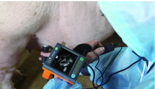 Máy siêu âm thú y MSU3