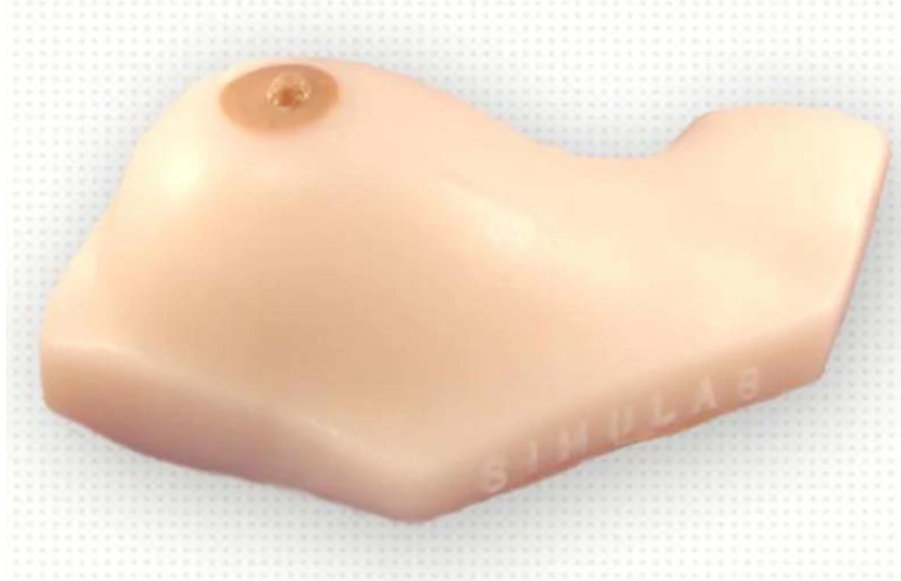 Mô hình đào tạo thăm dò tuyến vú