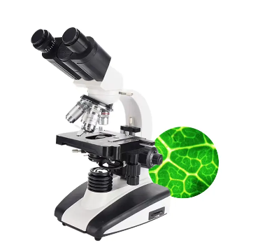 Kính hiển vi sinh học 2 mắt XSP-136E