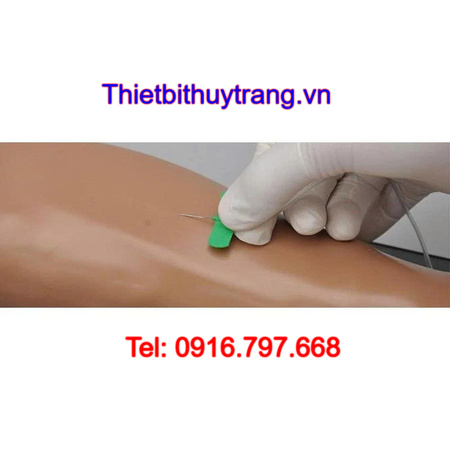 Cánh Tay Thực Hành Tiêm Tĩnh Mạch Đa Năng S401R Gaumard