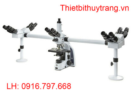 KÍNH HIỂN VI 5 NGƯỜI QUAN SÁT IS.1156-PLI5 EUROMEX