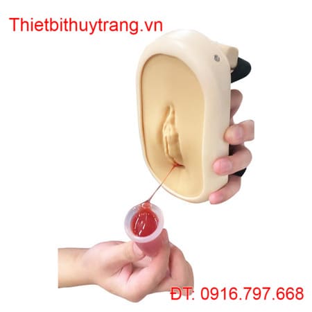 Máy Tập Cơ Sàn Chậu Nữ Phục Hồi Chức Năng MW75