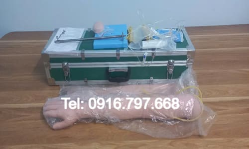 Mô Hình Cánh Tay Tiêm Truyền Đa Năng Cao Cấp GD/HS2