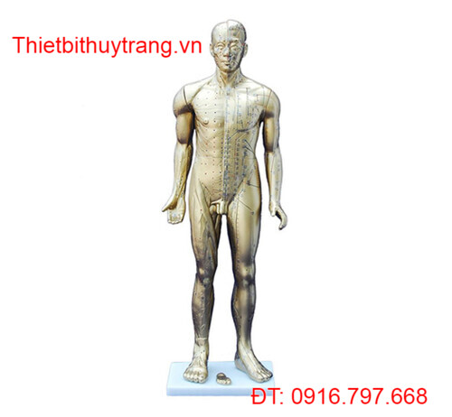 MÔ HÌNH CHÂM CỨU CAO CẤP TOÀN THÂN NGƯỜI 84CM