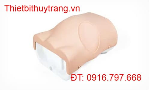 MÔ HÌNH CHỌC DÒ MÀNG BỤNG LIMBS & THINGS 60111