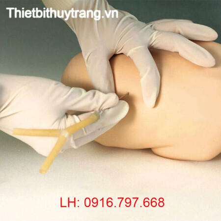 MÔ HÌNH CHỌC DÒ THẮT LƯNG TRẺ SƠ SINH GD/L68B