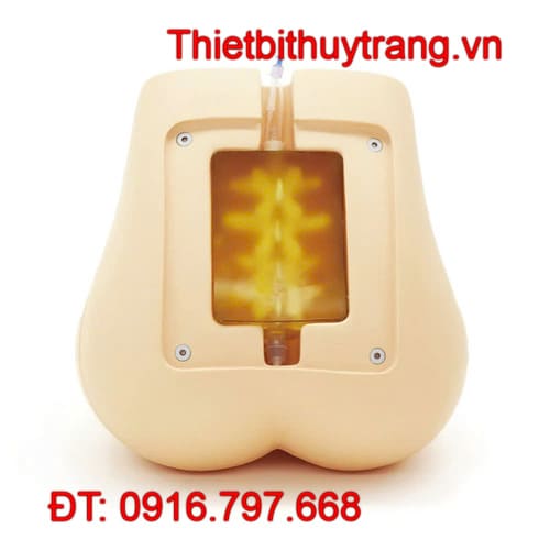 Mô Hình Chọc Dò Tuỷ Sống Siêu Âm Kyoto Kagaku Nhật Bản