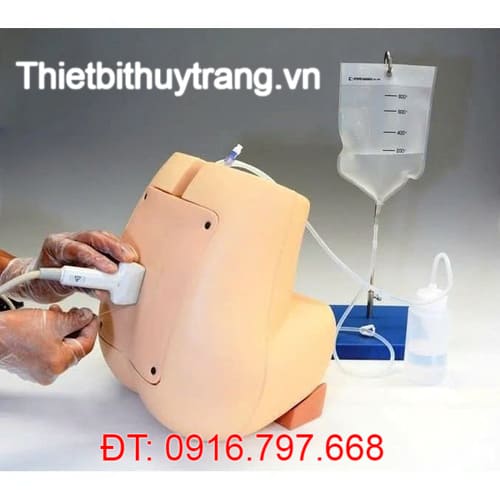 MÔ HÌNH CHỌC DÒ TUỶ SỐNG THẮT LƯNG SIÊU ÂM KYOTO KAGAKU