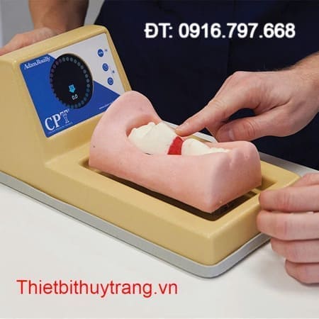 Mô Hình Đào Tạo Áp Lực Sụn Nhẫn Adam Rouilly