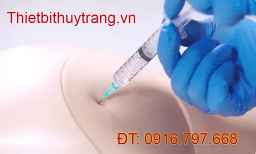 Mô Hình Đào Tạo Chọc Dò Màng Bụng 60111 Limbs & Things