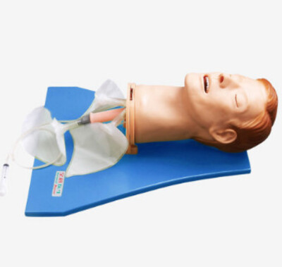 MÔ HÌNH ĐẶT NỘI KHÍ QUẢN ĐA NĂNG GD/J55