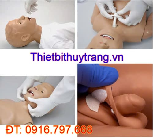Mô hình điều dưỡng đào tạo chăm sóc trẻ em 5 tuổi đa năng Gaumard S150