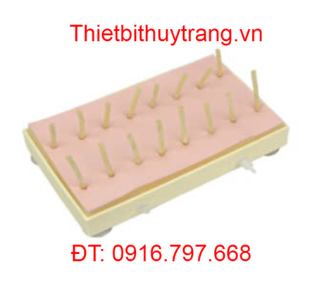 MÔ HÌNH HOẠT ĐỘNG NỐI MẠCH MÁU BỀ MẶT VÀ CẦM MÁU GD/LV60-1