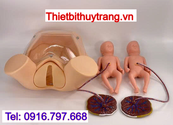 Mô Hình Huấn Luyện Đỡ Đẻ Nâng Cao TTF20