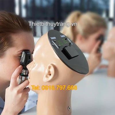Mô Hình Huấn Luyện Về Bệnh Võng Mạc AR303 Adam Rouilly