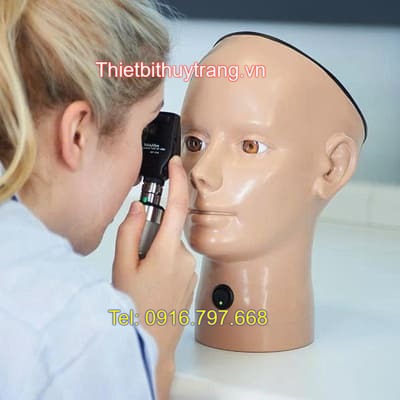 Mô Hình Khám Soi Đáy Mắt Adam Rouilly AR303