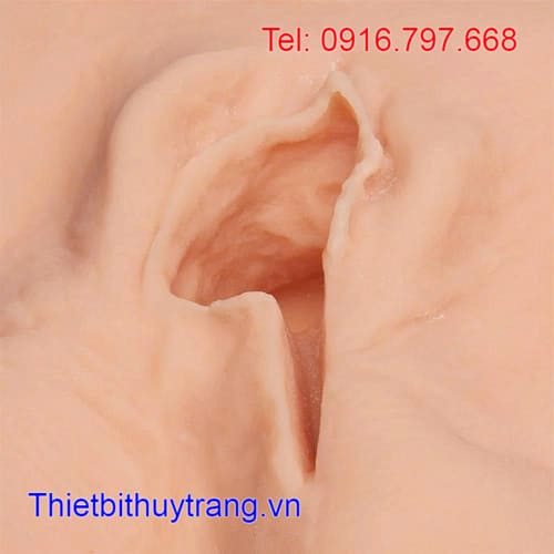 Mô Hình Khâu Tầng Sinh Môn Trái Nasco Hoa Kỳ