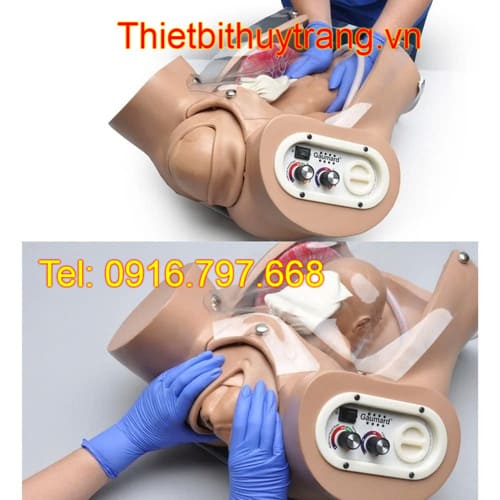 Mô hình kỹ năng thăm khám thai nghe tim thai và đỡ đẻ Gaumard S500.200