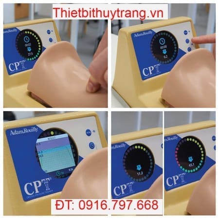 Mô Hình Thực Hành Áp Lực Sụn Nhẫn Adam Rouilly