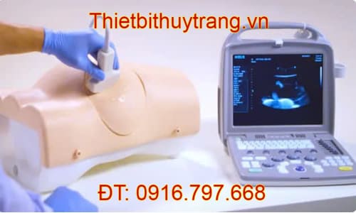 Mô Hình Thực Hành Chọc Dò Màng Bụng Limbs & Things 60111