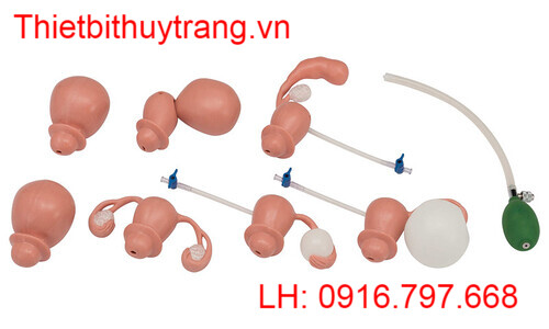 Mô Hình Thực Tập Khám Phụ Khoa LM-110 Koken