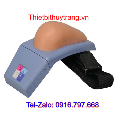 Mô Hình Tiêm Bắp Tay Điện Tử 3B Scientific 1009840