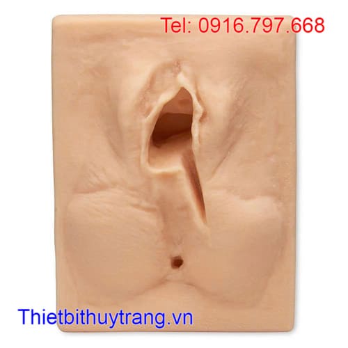 Mô Phỏng Khâu Tầng Sinh Môn Bên Trái Life/form®