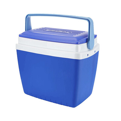 Phích bảo quản chứa vắc xin 28L Thermo