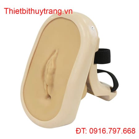 THIẾT BỊ TẬP SA CƠ QUAN VÙNG CHẬU NỮ MW75 NHẬT BẢN