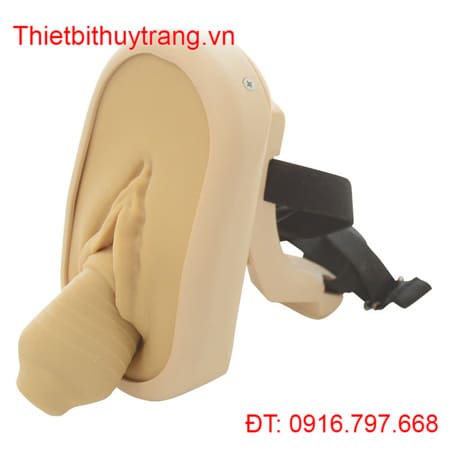 Thiết Bị Tập Sa Cơ Sàn Chậu Nữ MW75