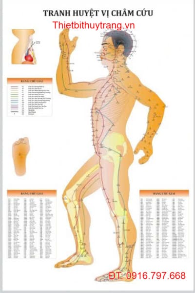 TRANH CHÂM CỨU 3 HÌNH MẶT CẮT