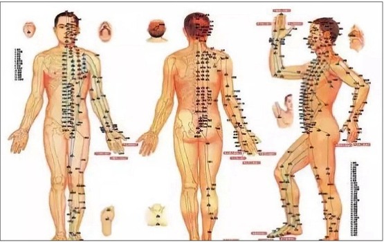 TRANH CHÂM CỨU BẤM HUYỆT ĐÔNG Y TT-TDY01