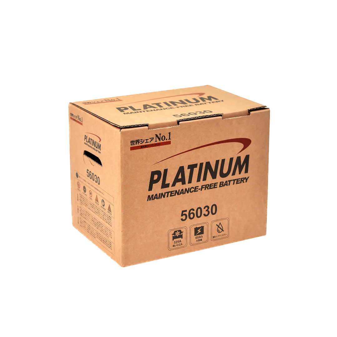ac-quy-platinum-56030