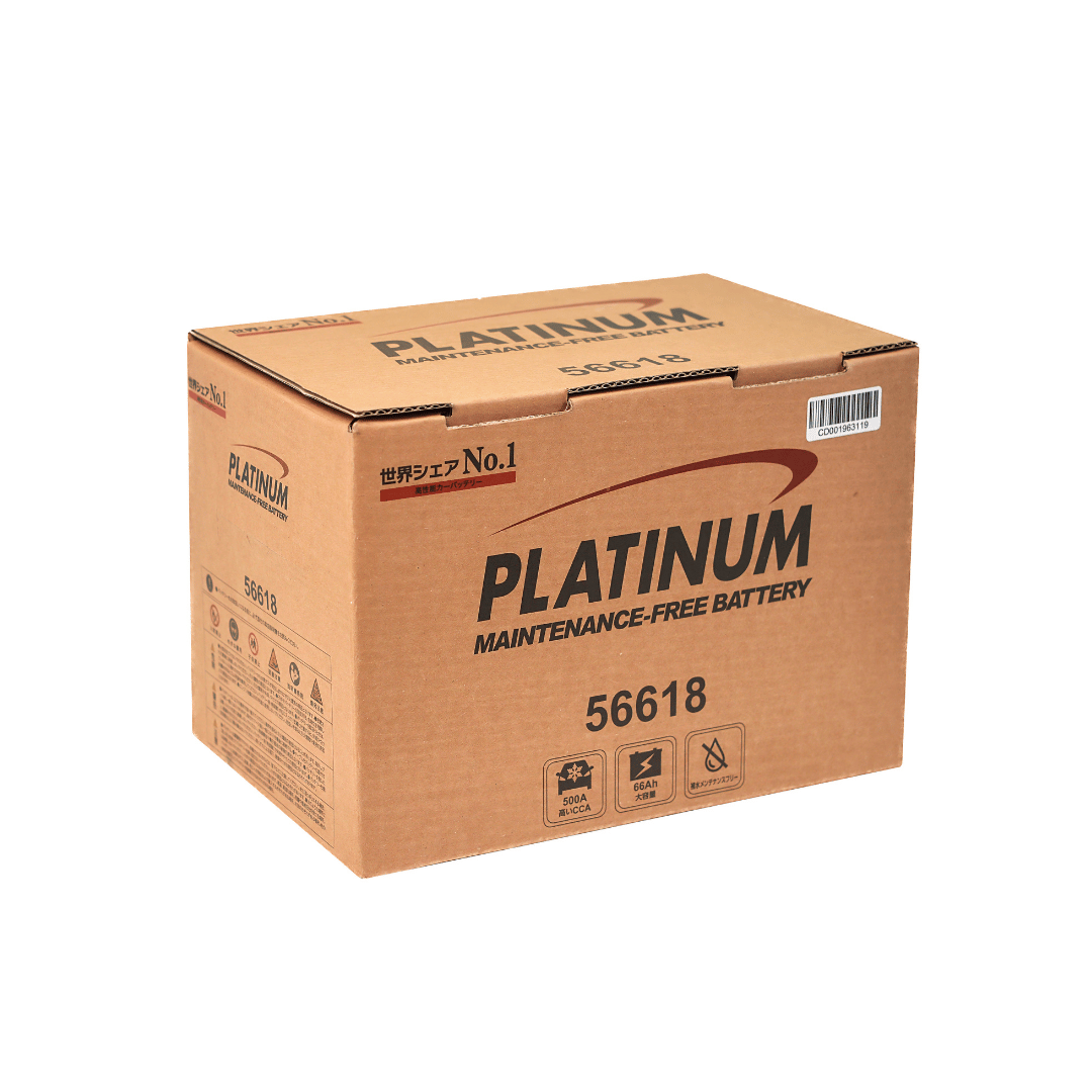 ac-quy-platinum-56618