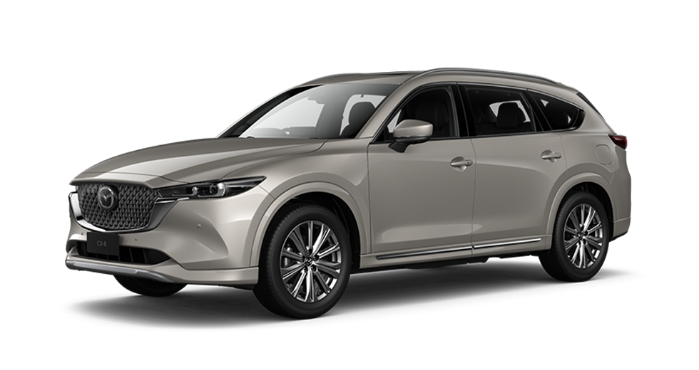 ac-quy-xe-mazda-cx8