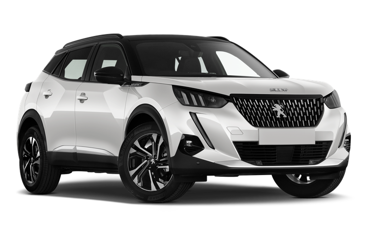 ac-quy-xe-peugeot-2008