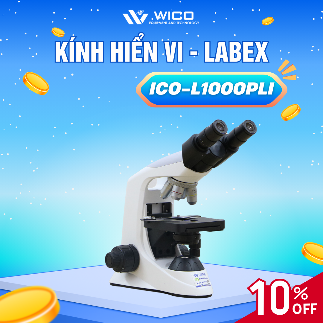 Kính hiển vi sinh học 2 mắt Labex - Anh ICO-L1000PLi