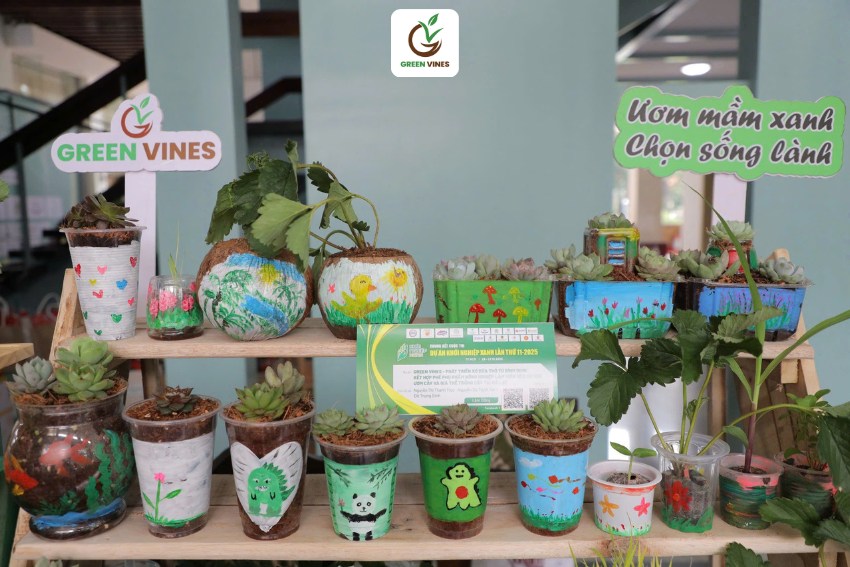 Green Viens trưng bày sản phẩm tại cuộc thi khởi nghiệp xanh năm 2025