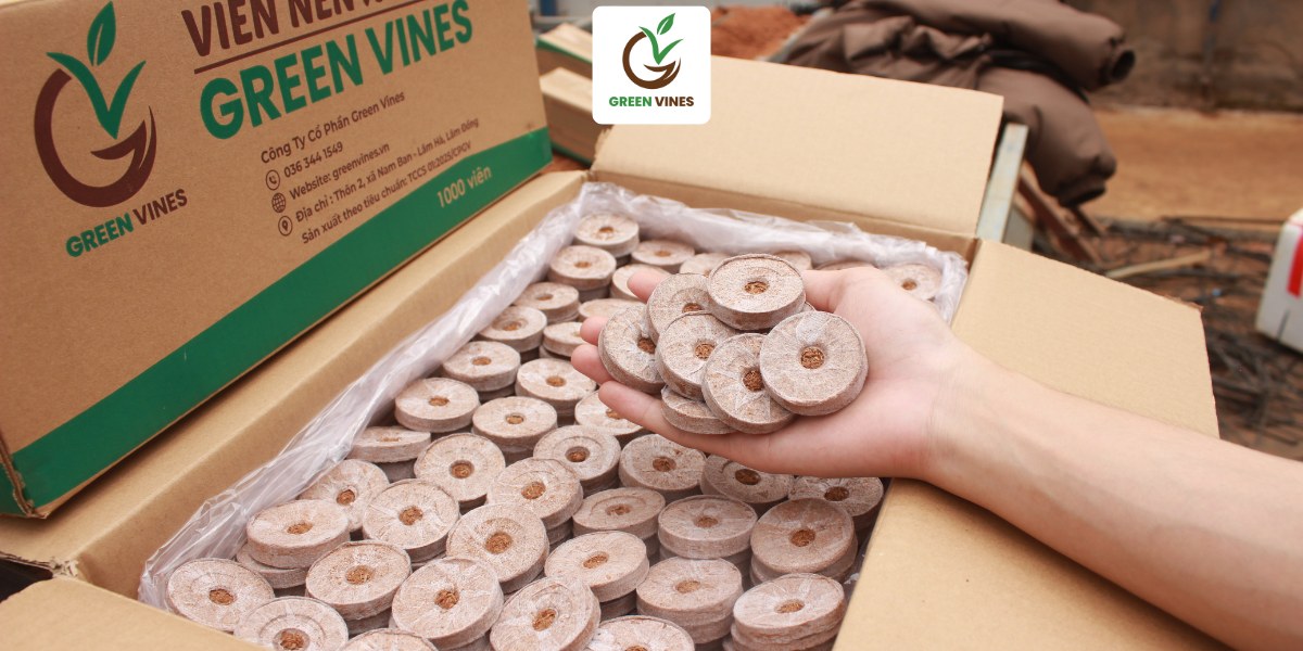 Hộp viên nén xơ dừa 1000 viên sử dụng cho ươm ngó dâu tây