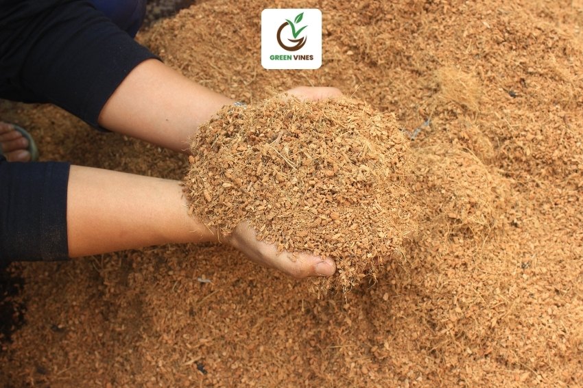 Giá thể xơ dừa dùng để trồng cây từ Green Vines