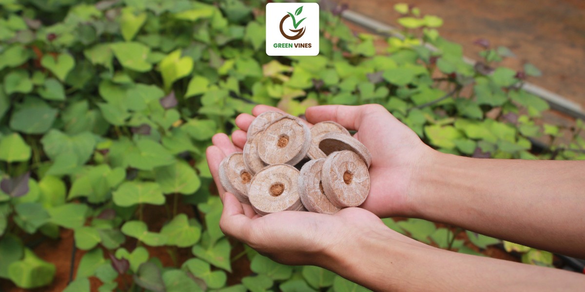 Trên nay viên nén xơ dừa Green Vines