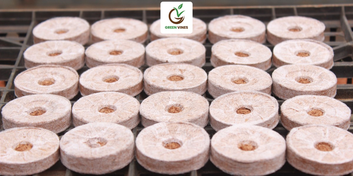 Viên nén xơ dừa có kích thước 42mm