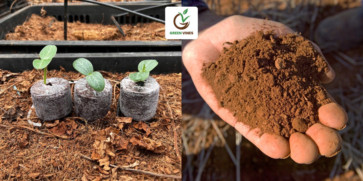 Viên nén xơ dừa so với đất truyền thống