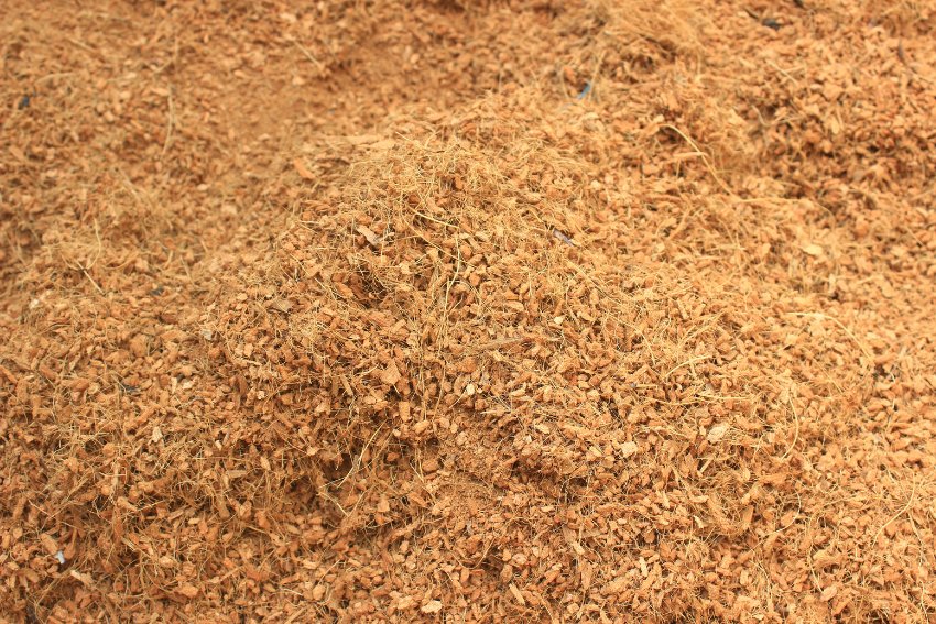 Xơ dừa trồng cây dạng viên nén xơ dừa