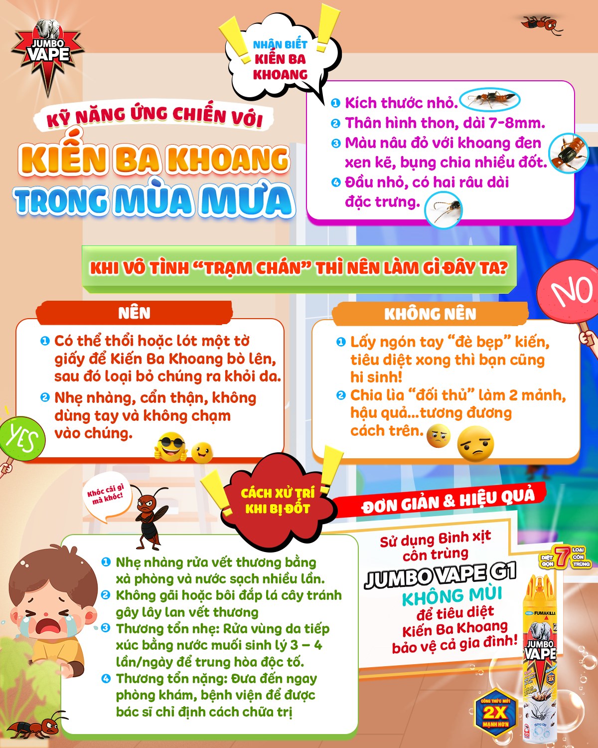 CẢ NHÀ CÓ BIẾT: KỸ NĂNG ỨNG CHIẾN VỚI KIẾN BA KHOANG TRONG MÙA MƯA!!!