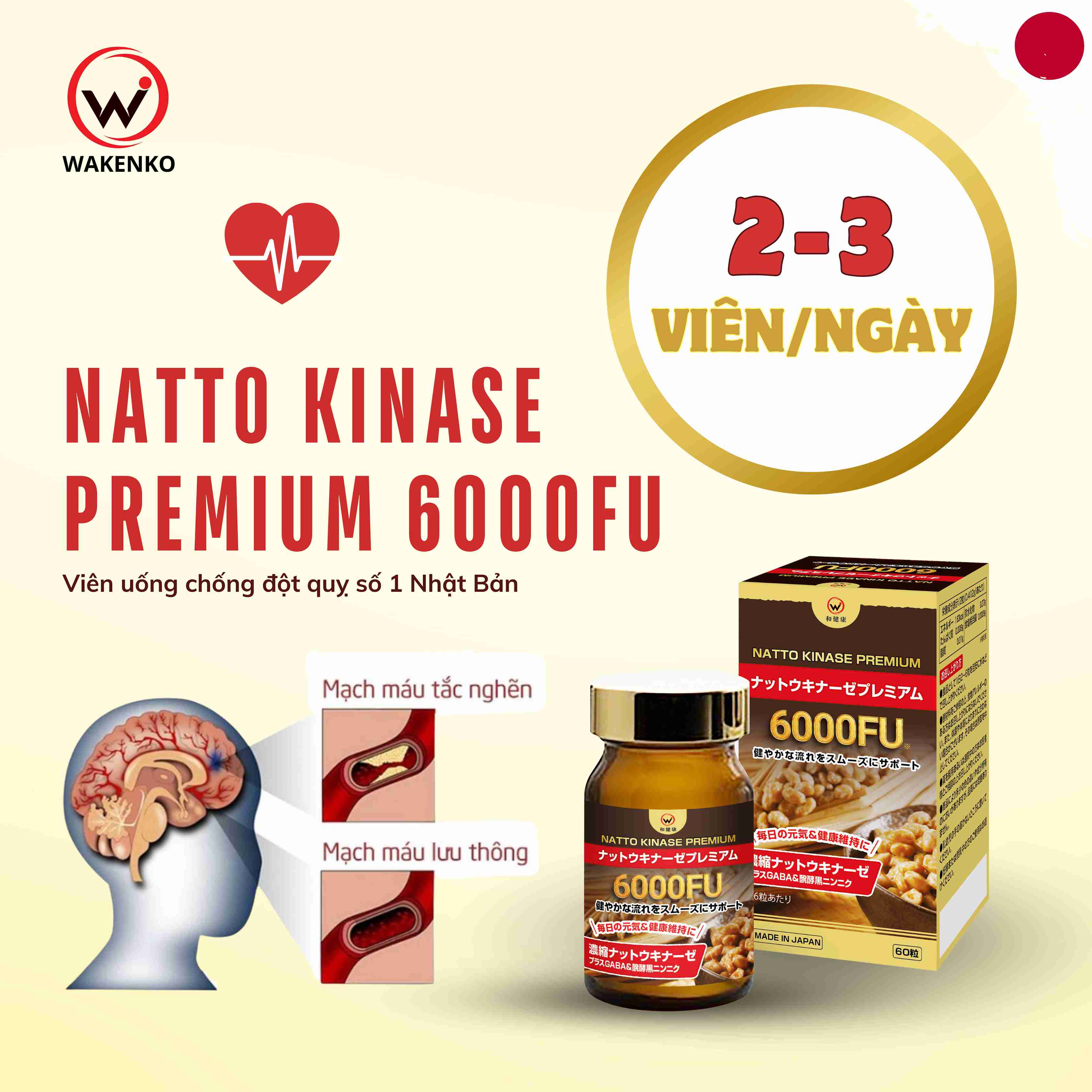 Hướng Dẫn Sử Dụng Viên Uống Chống Đột Quỵ Natto Kinase Premium 6000FU Wakenko