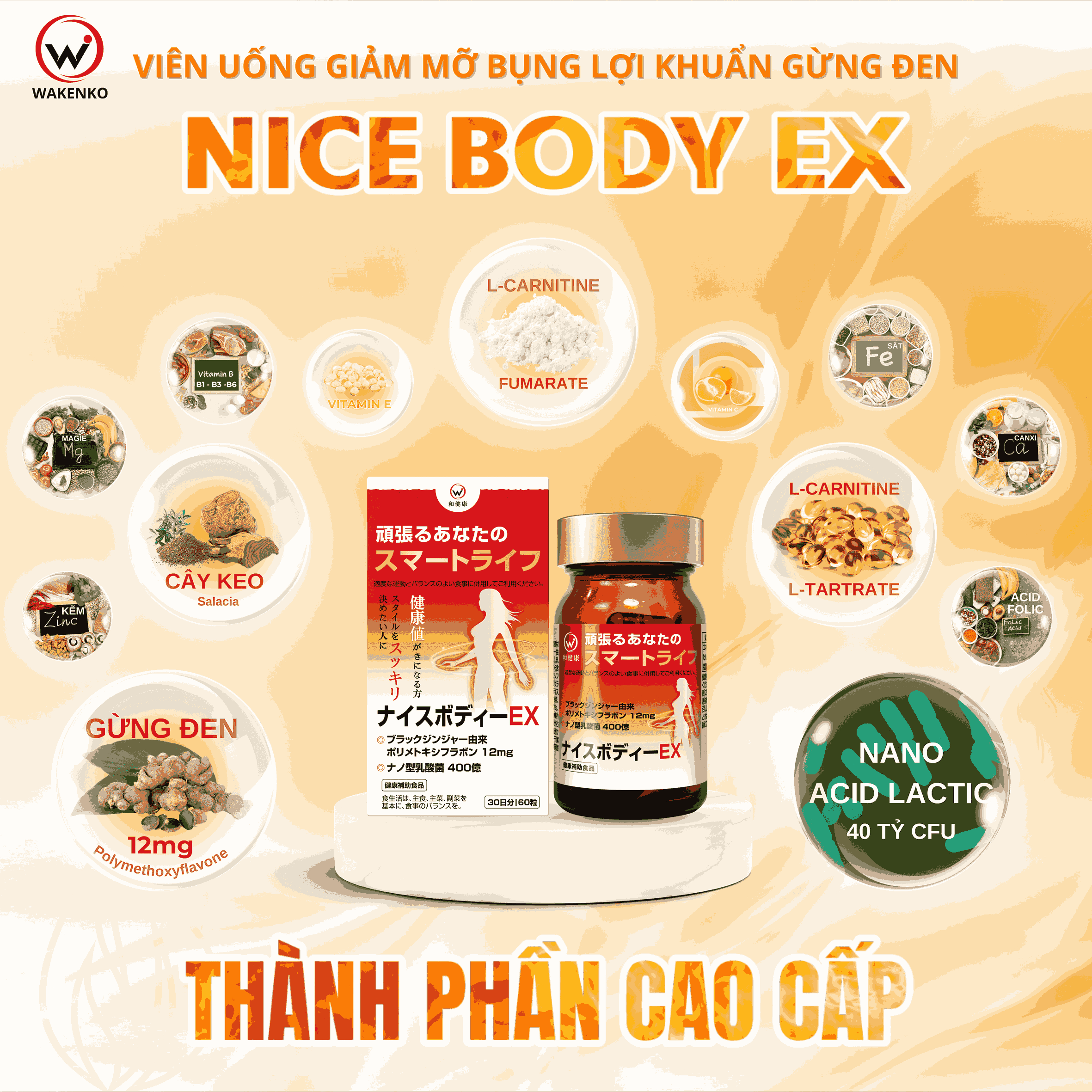 Thành Phần Viên Uống Giảm Mỡ Bụng Lợi Khuẩn Vừng Đen Nice Body Wakenko